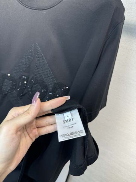 2025年4月4日入荷新作DIOR半袖 Tシャツ高級品/LD工場