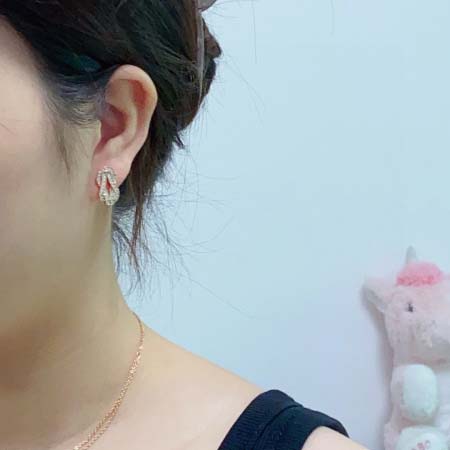 2025年4月4日入荷新品Fredピアスギフト/誕生日/記念品/アクセサリーxin工場