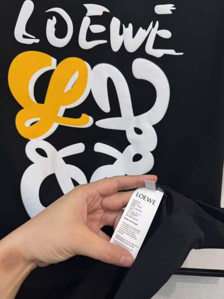 2025年4月6日入荷新作loewe半袖 Tシャツ高級品/LD工場