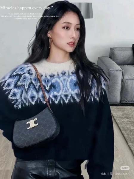 2025年4月27日入荷新作  CELINE 新品Tillyわきの下バッグ  牛革  6610SQ SIZE:23*13.5*4cm  /XX工場