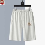 2025年4月2日入荷新作burberry夏メンズ 上下セットM-5XL/zhan工場