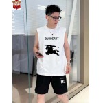 2025年4月2日入荷新作BURBERRY夏メンズ 上下セットM-5XL/zhan工場