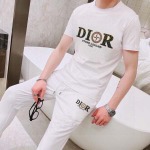 2025年4月2日入荷新作DIOR夏メンズ 上下セットM-5XL/zhan工場