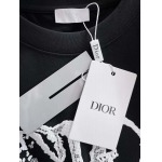 2025年4月3日入荷新作Dior半袖 Tシャツ高級品/LD工場