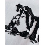 2025年4月3日入荷新作Dior半袖 Tシャツ高級品/LD工場