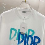 2025年4月3日入荷新作Dior半袖 Tシャツ高級品/LD工場