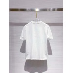 2025年4月3日入荷新作Dior半袖 Tシャツ高級品/LD工場