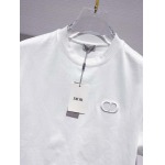 2025年4月3日入荷新作Dior半袖 Tシャツ高級品/LD工場