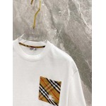 2025年4月3日入荷新作BURBERRY半袖 Tシャツ高級品/LD工場
