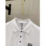 2025年4月3日入荷新作loewe半袖 Tシャツ高級品/LD工場