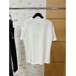 2025年4月3日入荷新作loewe半袖 Tシャツ高級品/LD工場