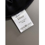 2025年4月3日入荷新作Dior半袖 Tシャツ高級品/LD工場