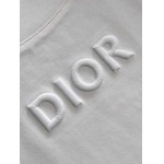 2025年4月3日入荷新作Dior半袖 Tシャツ高級品/LD工場