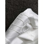 2025年4月3日入荷新作Dior半袖 Tシャツ高級品/LD工場