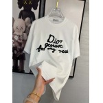 2025年4月4日入荷新作DIOR半袖 Tシャツ高級品/LD工場