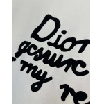 2025年4月4日入荷新作DIOR半袖 Tシャツ高級品/LD工場