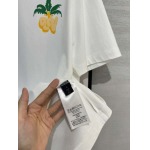 2025年4月4日入荷新作Louis Vuitton半袖 Tシャツ高級品/LD工場