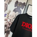 2025年4月4日入荷新作DIOR半袖 Tシャツ高級品/LD工場