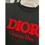 2025年4月4日入荷新作DIOR半袖 Tシャツ高級品/LD工場