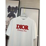 2025年4月4日入荷新作DIOR半袖 Tシャツ高級品/LD工場