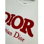 2025年4月4日入荷新作DIOR半袖 Tシャツ高級品/LD工場