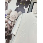 2025年4月4日入荷新作DIOR半袖 Tシャツ高級品/LD工場