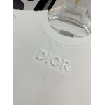 2025年4月4日入荷新作DIOR半袖 Tシャツ高級品/LD工場