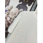 2025年4月4日入荷新作DIOR半袖 Tシャツ高級品/LD工場