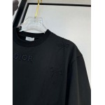 2025年4月4日入荷新作DIOR半袖 Tシャツ高級品/LD工場