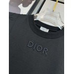 2025年4月4日入荷新作DIOR半袖 Tシャツ高級品/LD工場