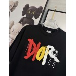 2025年4月4日入荷新作DIOR半袖 Tシャツ高級品/LD工場