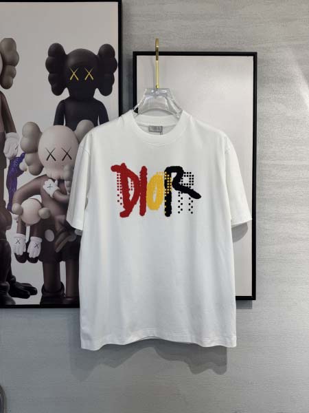 2025年4月4日入荷新作DIOR半袖 Tシャツ高級品/LD...
