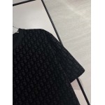 2025年4月4日入荷新作DIOR半袖 Tシャツ高級品/LD工場