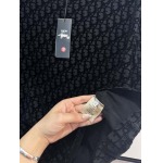 2025年4月4日入荷新作DIOR半袖 Tシャツ高級品/LD工場