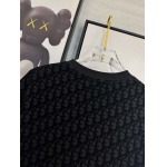 2025年4月4日入荷新作DIOR半袖 Tシャツ高級品/LD工場