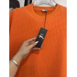 2025年4月4日入荷新作DIOR半袖 Tシャツ高級品/LD工場