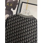 2025年4月4日入荷新作DIOR半袖 Tシャツ高級品/LD工場