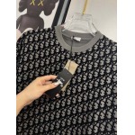 2025年4月4日入荷新作DIOR半袖 Tシャツ高級品/LD工場