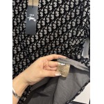 2025年4月4日入荷新作DIOR半袖 Tシャツ高級品/LD工場