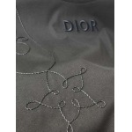 2025年4月4日入荷新作Dior半袖 Tシャツ高級品/LD工場