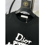 2025年4月4日入荷新作Dior半袖 Tシャツ高級品/LD工場