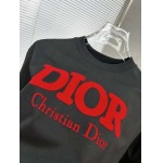 2025年4月4日入荷新作DIOR半袖 Tシャツ高級品/LD工場