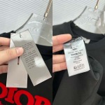 2025年4月4日入荷新作DIOR半袖 Tシャツ高級品/LD工場