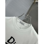 2025年4月4日入荷新作DIOR半袖 Tシャツ高級品/LD工場