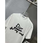 2025年4月4日入荷新作DIOR半袖 Tシャツ高級品/LD工場