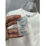 2025年4月4日入荷新作DIOR半袖 Tシャツ高級品/LD工場