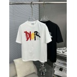 2025年4月4日入荷新作DIOR半袖 Tシャツ高級品/LD工場