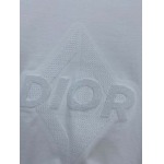 2025年4月4日入荷新作DIOR半袖 Tシャツ高級品/LD工場