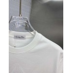 2025年4月4日入荷新作DIOR半袖 Tシャツ高級品/LD工場