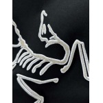 2025年4月4日入荷新作ARCTERYX半袖 Tシャツ高級品/LD工場